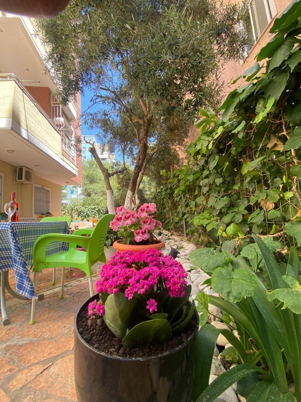 Olive Tree Apartment Sarandë 外观 照片
