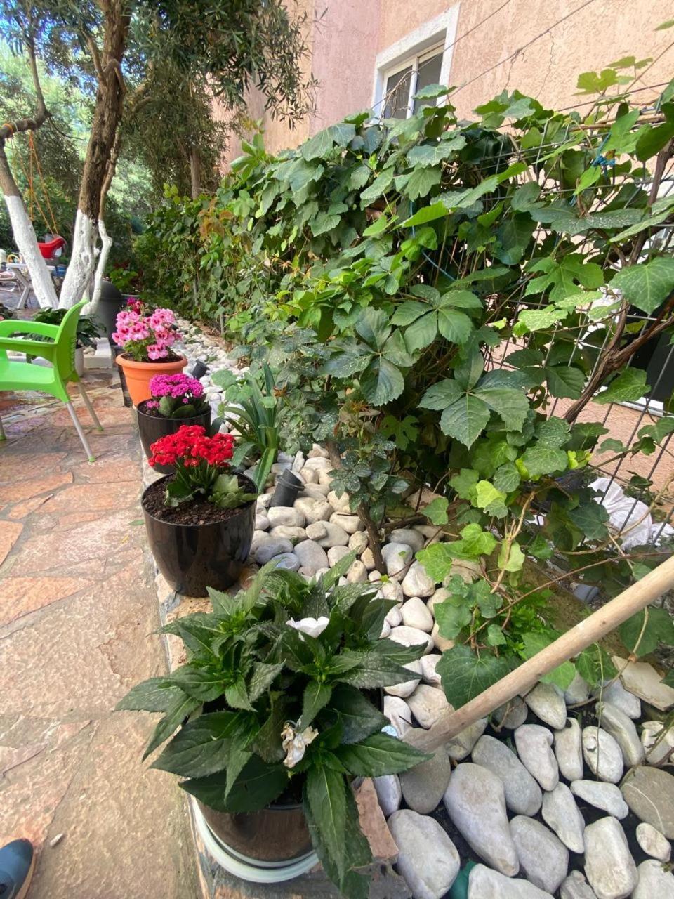 Olive Tree Apartment Sarandë 外观 照片